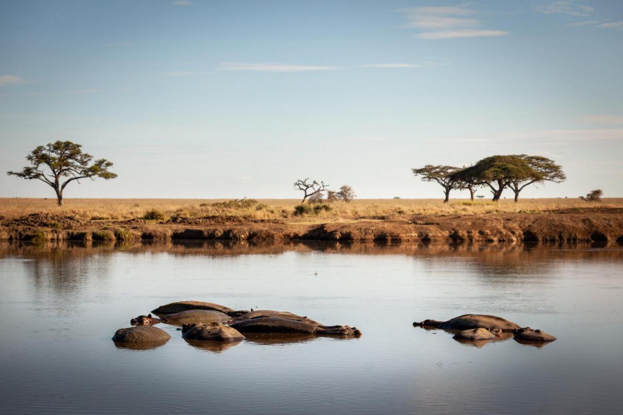 Mawe Tented Camp Serengeti Exterior photo
