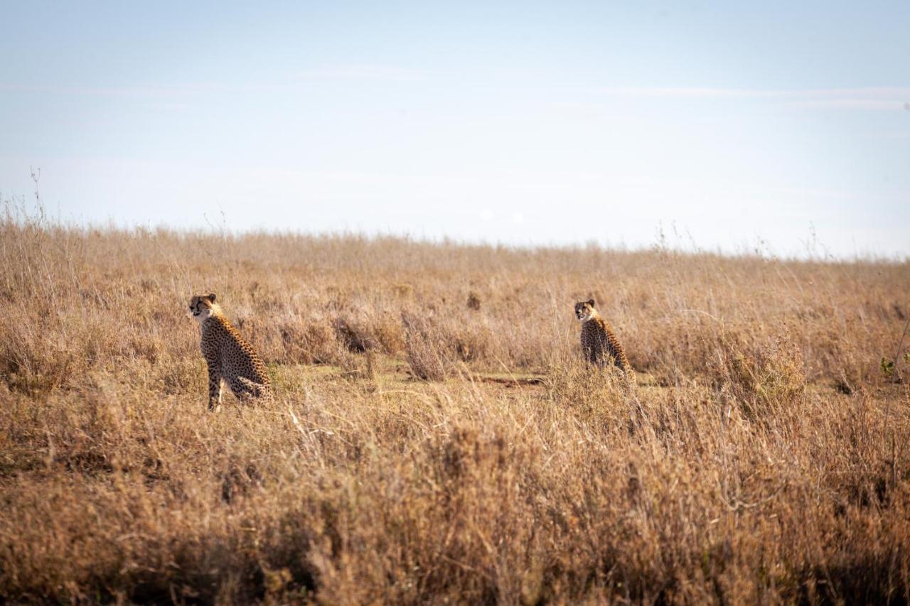 Mawe Tented Camp Serengeti Exterior photo